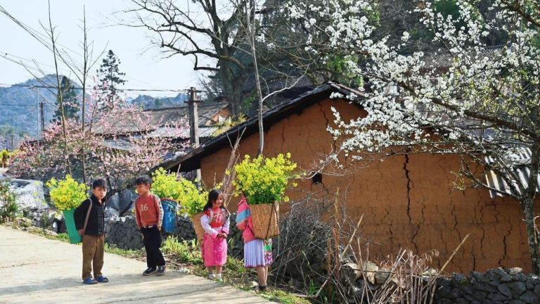 Meo Vac Ha Giang