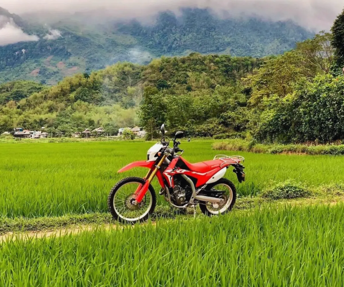 Motorbike rental service in Ha Giang with manual and semi-automatic bikes