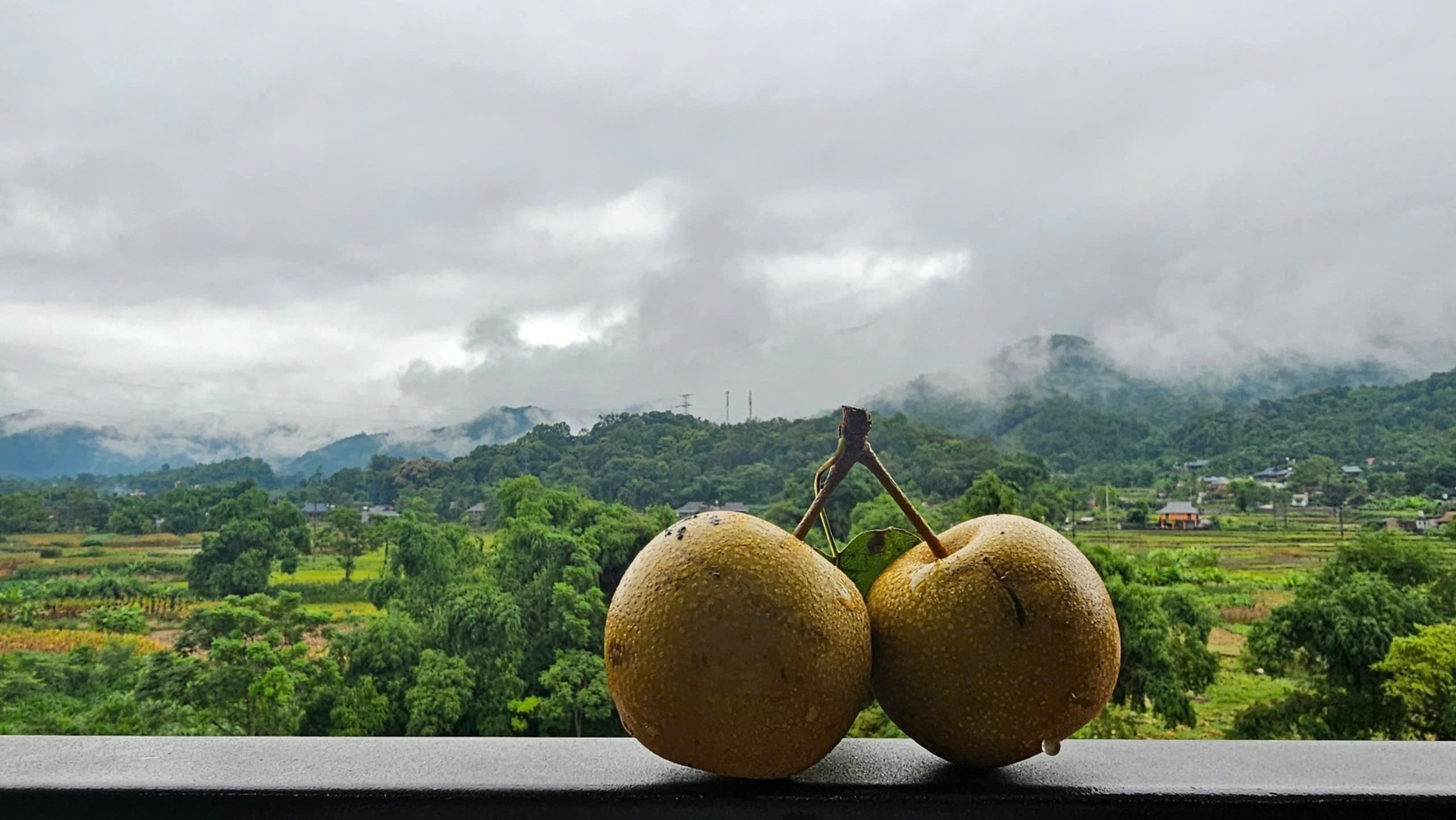 Double Room with Rear View – Overlooking Mountains, River, and Rice Fields