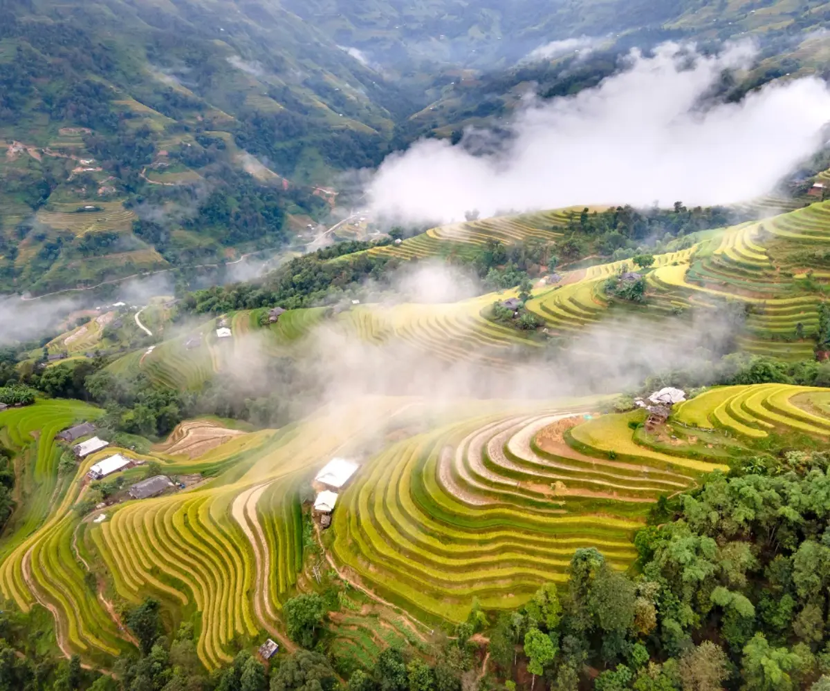 Ha Giang Rice Terraces