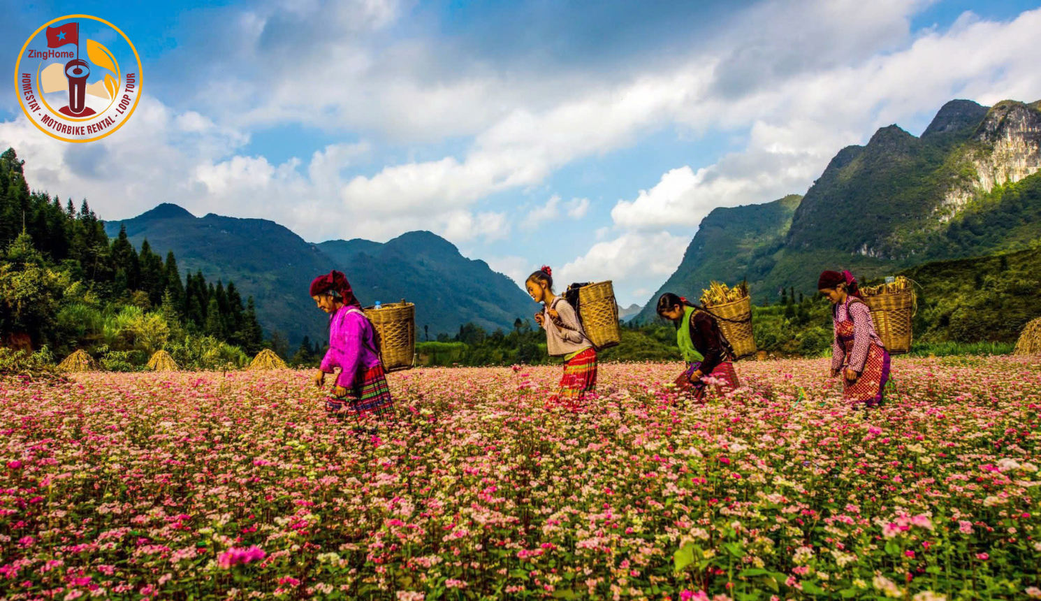 Ha Giang loop tips capturing the beauty of Vietnam’s north