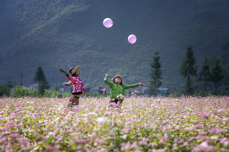 Things to do in Dong Van